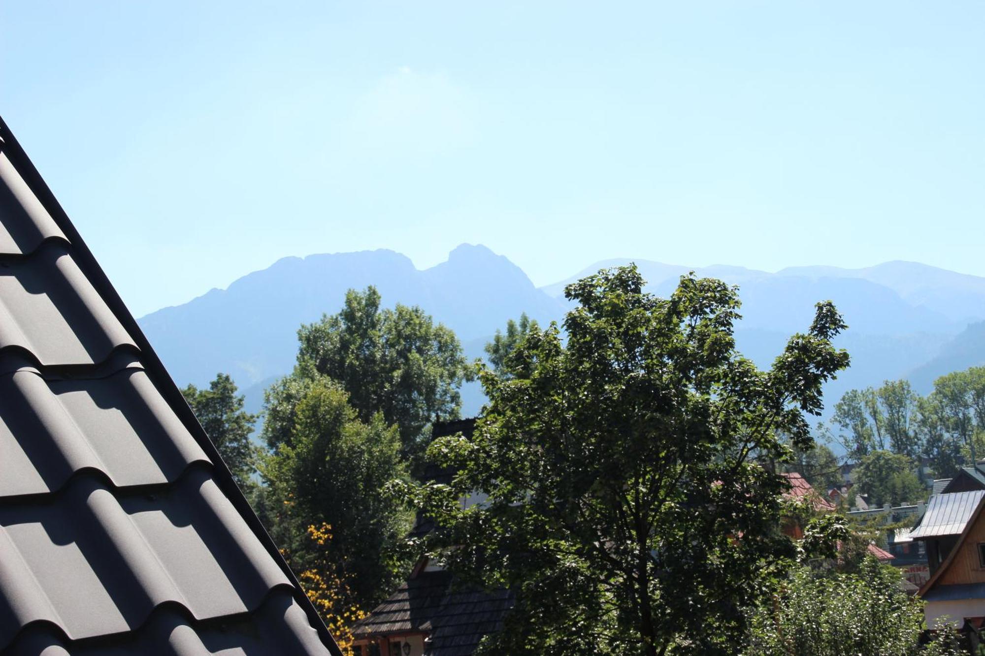 Apartament Zakosunflower